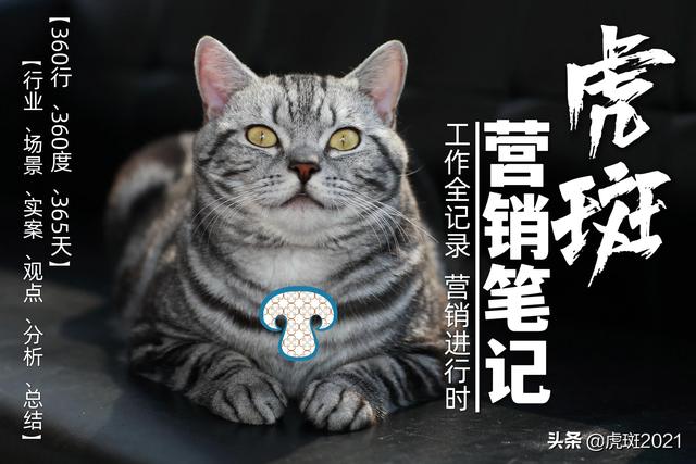 小馬宋營銷日歷，小馬宋文案？