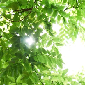 發(fā)水果的朋友圈配文，發(fā)水果的朋友圈配文照片和配文？