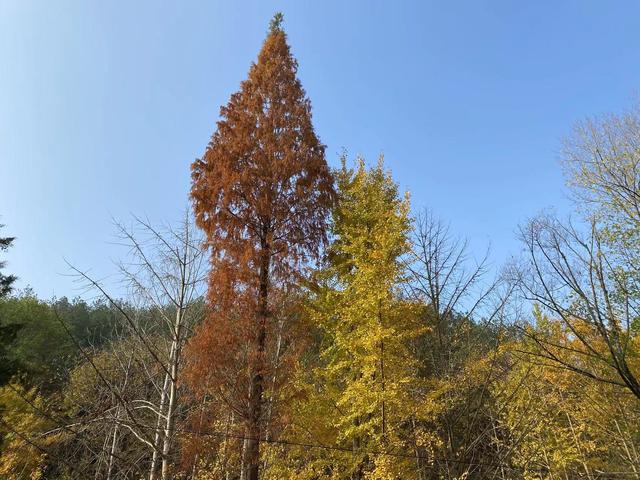 一家四口旅游發(fā)朋友圈，夫妻故地重游發(fā)朋友圈美句？