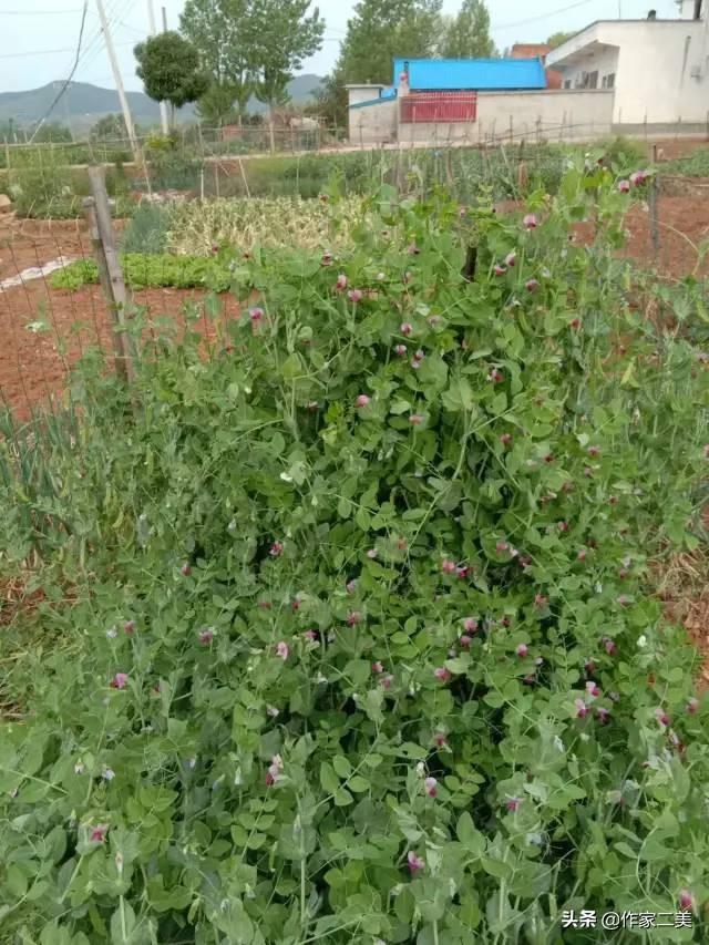 上海商水商電價(jià)格，南京商水商電價(jià)格？