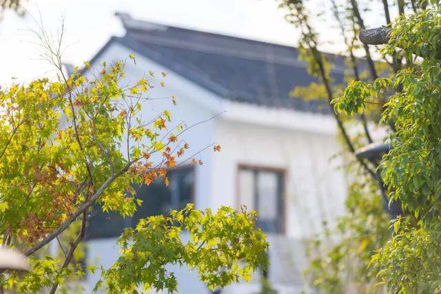 抖音福利紅包為什么搶不到紅包，抖音福利紅包為什么搶不到紅包呢？