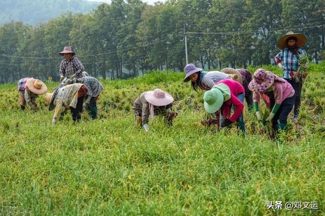 現(xiàn)在做電商還能賺錢嗎知乎推薦，做電商為什么那么賺錢？