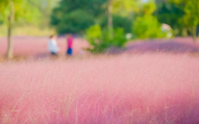 抖音福利紅包為什么搶不到紅包，抖音福利紅包為什么搶不到紅包呢？