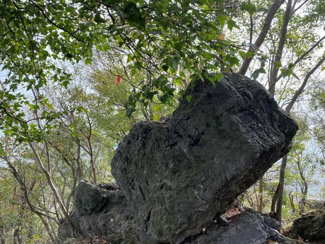 一家四口旅游發(fā)朋友圈，夫妻故地重游發(fā)朋友圈美句？