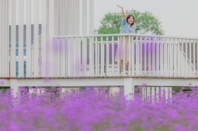 抖音福利紅包為什么搶不到紅包，抖音福利紅包為什么搶不到紅包呢？