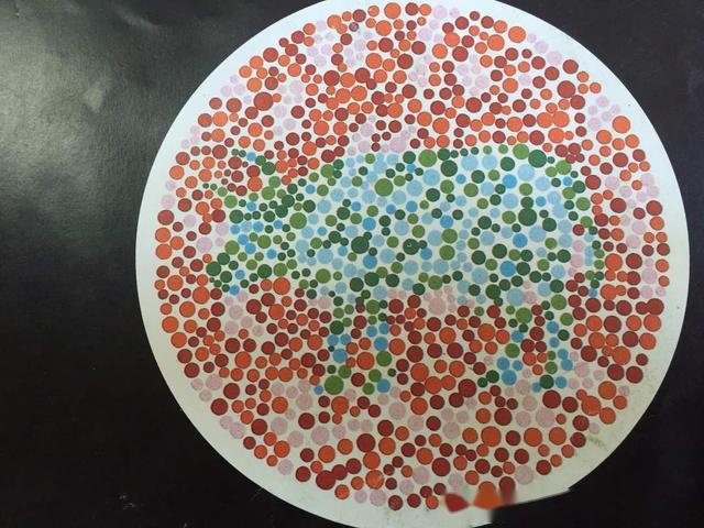 考駕照體檢項目有哪些大概多少錢，考駕照體檢項目有哪些大概多少錢一次