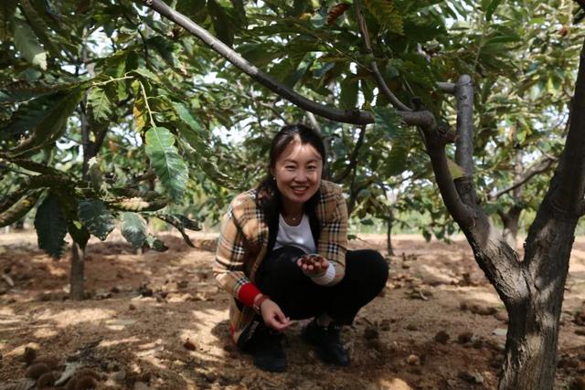 淘寶商店怎么注銷賬號啊，淘寶店鋪如何注銷賬號？