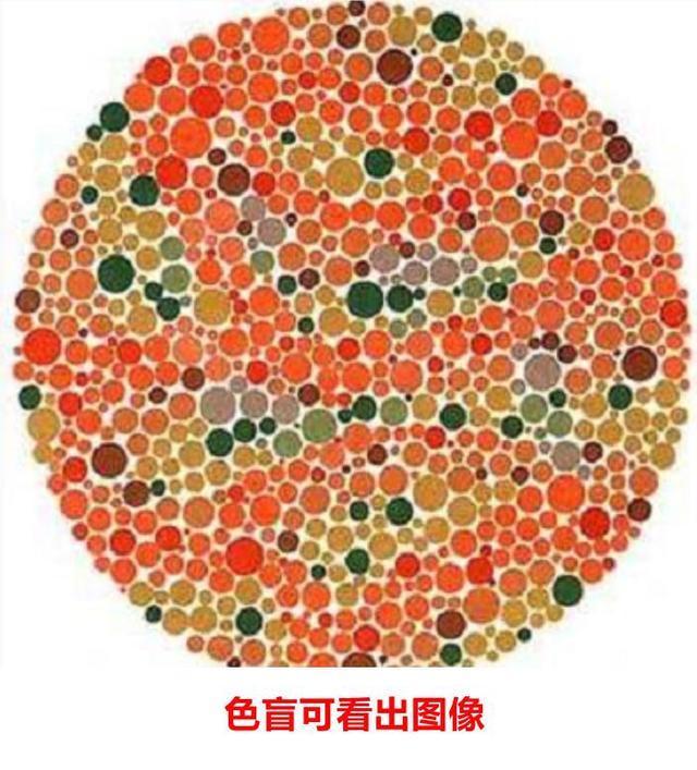 考駕照體檢項目有哪些大概多少錢，考駕照體檢項目有哪些大概多少錢一次