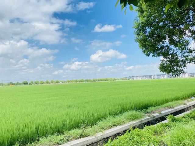 抖音福利紅包為什么搶不到紅包，抖音福利紅包為什么搶不到紅包呢？