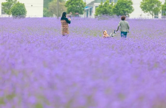 抖音福利紅包為什么搶不到紅包，抖音福利紅包為什么搶不到紅包呢？
