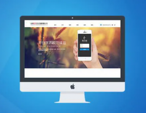 定制網(wǎng)站需要做哪些準(zhǔn)備工作？定制網(wǎng)站的好處有哪些？