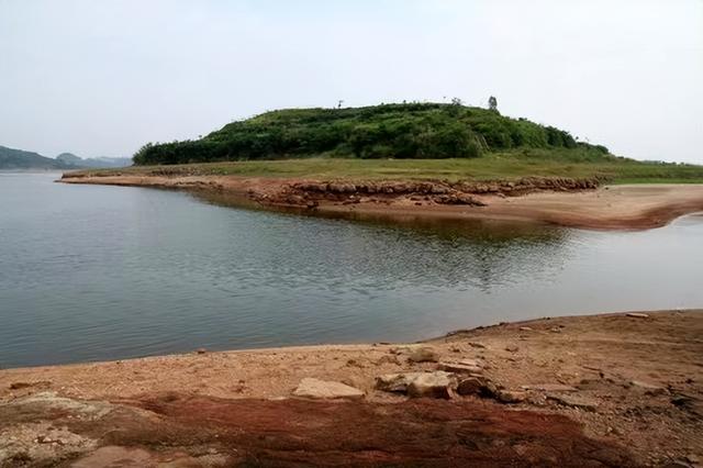 養(yǎng)植什么動物最賺錢，最有利可圖的動物養(yǎng)殖？