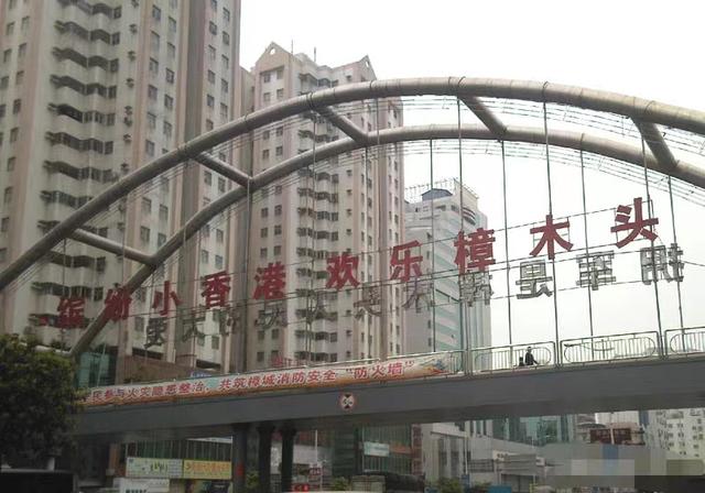 養(yǎng)植什么動物最賺錢，最有利可圖的動物養(yǎng)殖？